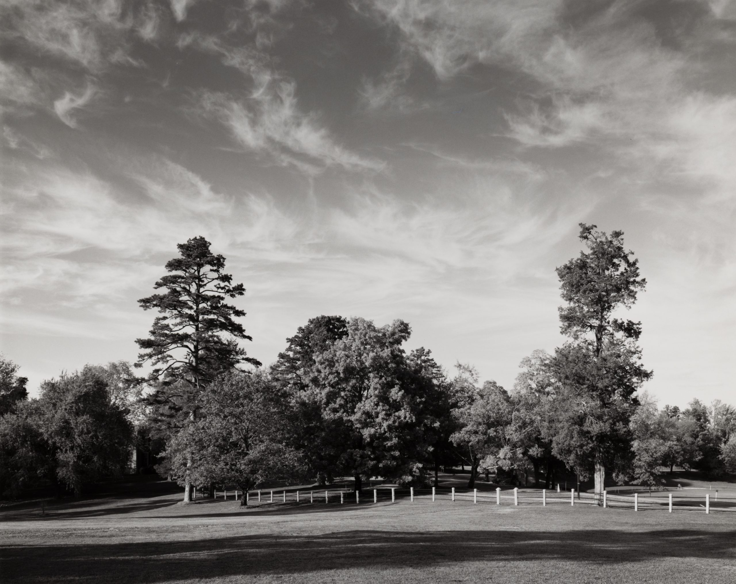 black and white photo of Cushing Lawn, Looking North, photograph by Brian Grogan, 1995