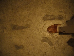 ...and walking in the footprints of "Lucy"