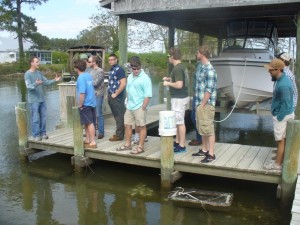 Oyster aquaculture with Rick Godsey '85