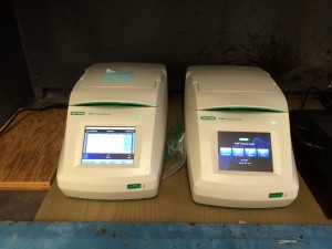 The original PCR machine reproduced!!