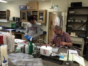 Jay Brandt '16 and Dr. Kristian Hargadon working on a tumor immunology project