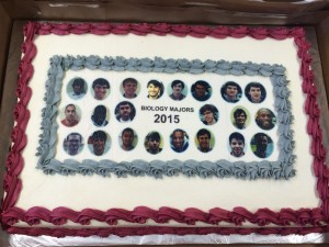 The traditional rendering of the biology graduates on cake for the end-of-year picnic