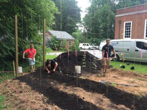 Willis, Nichols, and Griffin build the new hops garden and plant experimental lines.