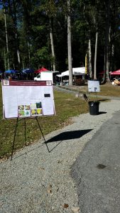 H-SC student research in display at the Hops and Harvest Festival 