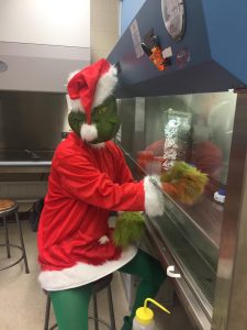The Grinch hard at work in Gilmer Hall!