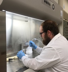 The author working on cell culture technique in a laminar flow hood