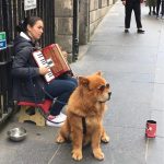 Cool street performer and her dog just outside of the Edinburgh Castle.