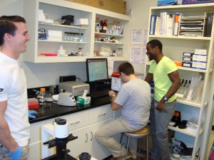 Christian Lehman, Daniel Osarfo-Akoto, and Bryan Talbert collecting and analyzing their samples.  Yes, flow cytometry is indeed THAT fun!