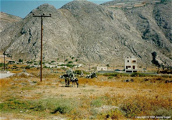 Life in Perissa, Santorini