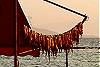 Octopus drying, Aegina