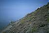 Mt. Vesuvius
