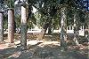 Palaestra, Olympia