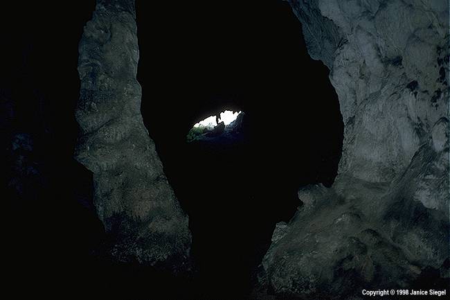 Corycian Cave, Delphi