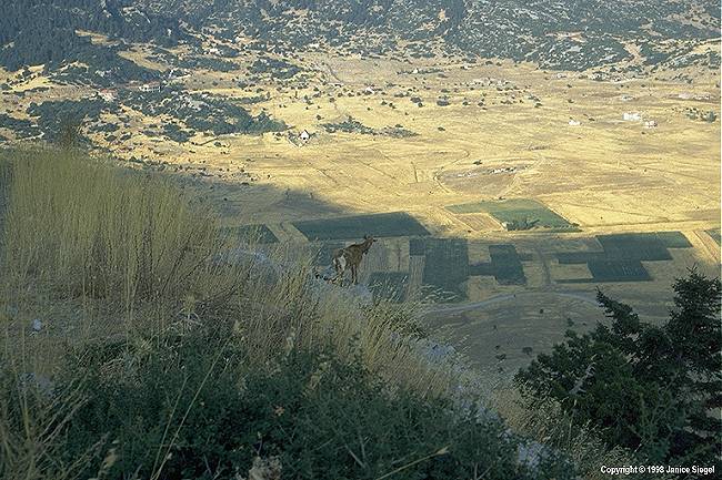 Corycian Cave, Delphi