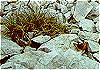 Mt. Olympos climb