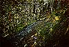 Mt. Olympos climb