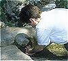 Castalian Spring, Delphi